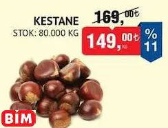 KESTANE KESTANE